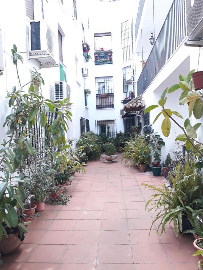 Apartamento Centro Juderia Cordoba Appartement Buitenkant foto